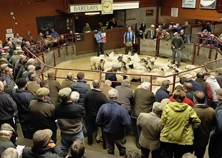 Longtown Mart